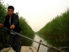 Melancholy river - Hebei (河北) - Lake Baiyangdian (白洋淀)