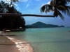 Horizontal palm - Thailand (ประเทศไทย) - Koh Tao (เกาะเต่า)